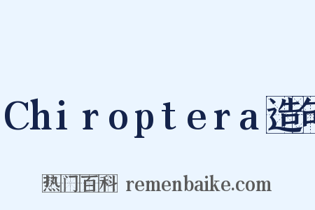 Chiroptera造句是什么意思的图片